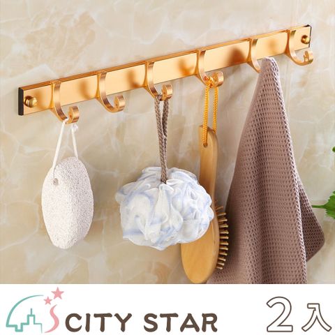 【CITY STAR】5鉤太空鋁活動排鉤門後掛衣架3色-2入