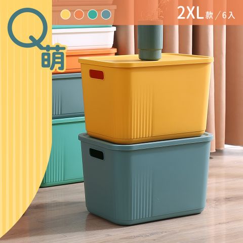 dayneeds 日需百備 Q萌撞色系附蓋收納盒 2XL號 六入 四色可選