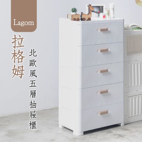 dayneeds 日需百備 Lagom 拉格姆北歐風五層抽屜櫃