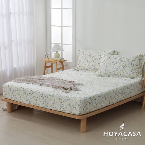 《HOYACASA》單人100%天絲床包枕套三件組-洛妮卡