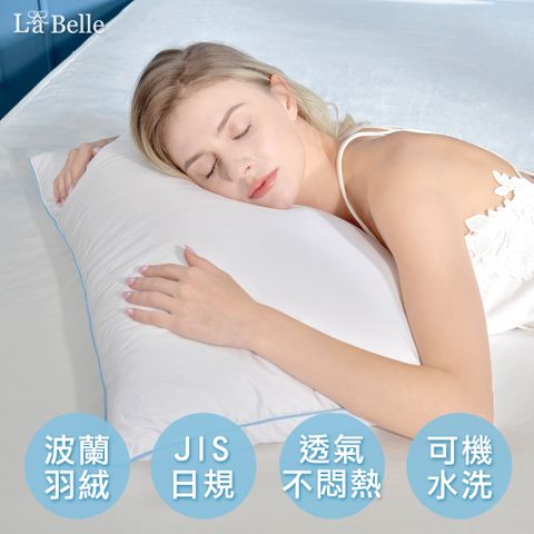 《95/5波蘭可水洗極輕羽絨枕》