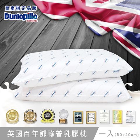 英國百年品牌Dunlopillo 鄧祿普乳膠枕-一入(60x40cm)