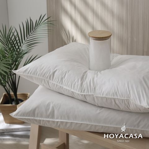 《HOYACASA》法國飯店級30/70羽絨枕(二入組)
