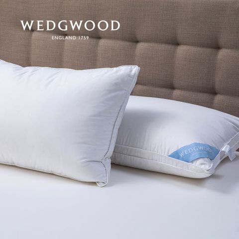 WEDGWOOD 90/10抗菌舒眠羽絨枕 48x74cm