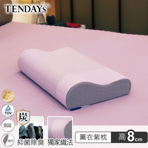 TENDAYS柔眠枕(薰衣紫)8cm高