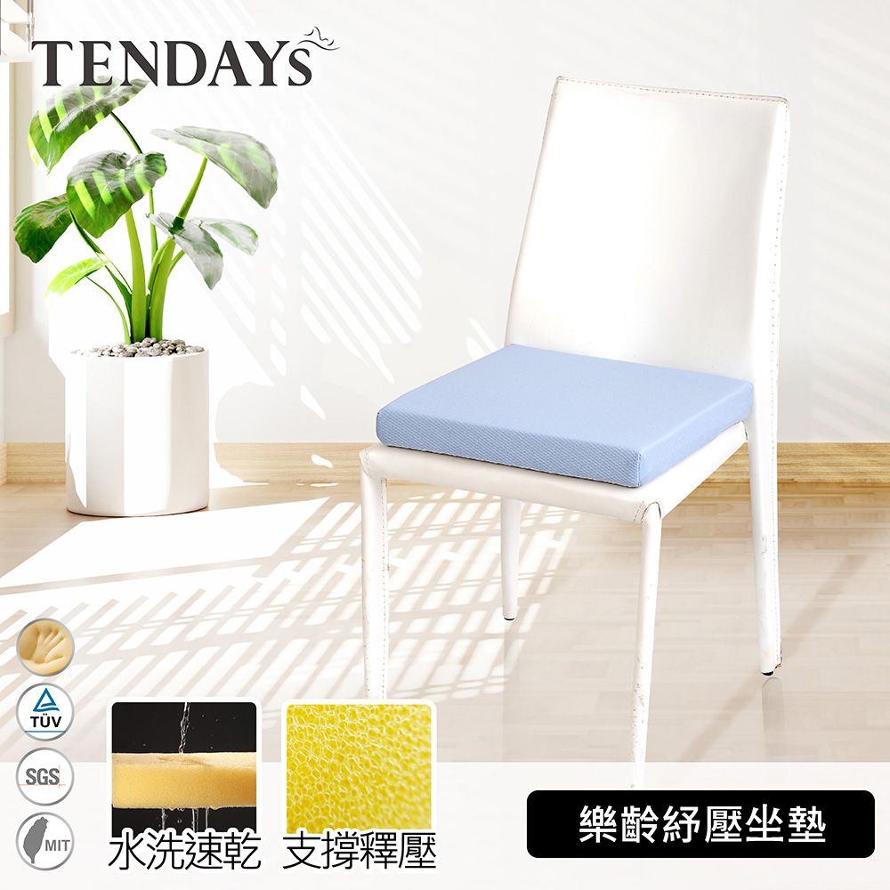 TENDAYS  HealthCare 紓壓坐墊