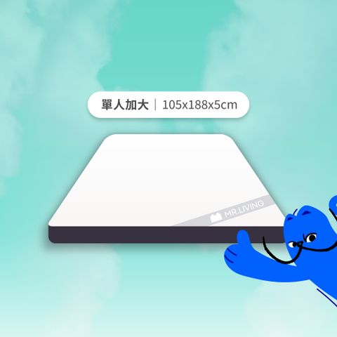 【MR. LIVING 居家先生】天絲防蟎減壓記憶薄墊 單人加大 3.5尺 (防蹣抗菌可拆洗 薄床墊 租屋/宿舍)