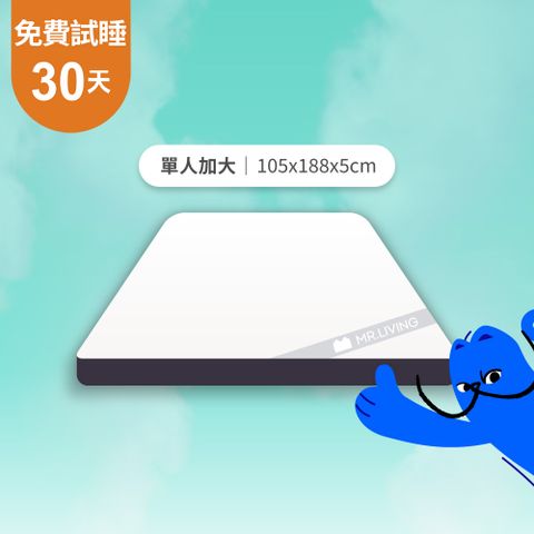 天絲防蟎減壓記憶薄墊 單人加大 3.5尺