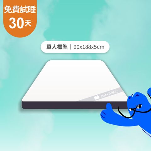 天絲防蟎減壓記憶薄墊 單人標準 3尺
