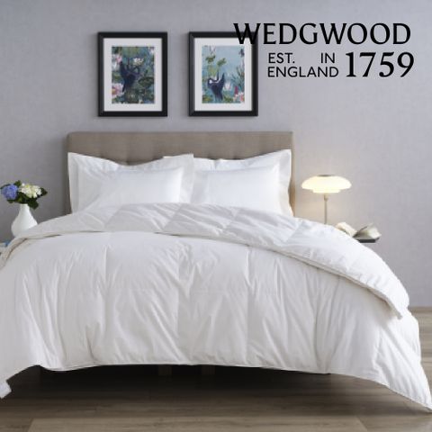 WEDGWOOD 80/20 雅品白鴨絨抗菌羽絨舒眠被-雙人180x210cm