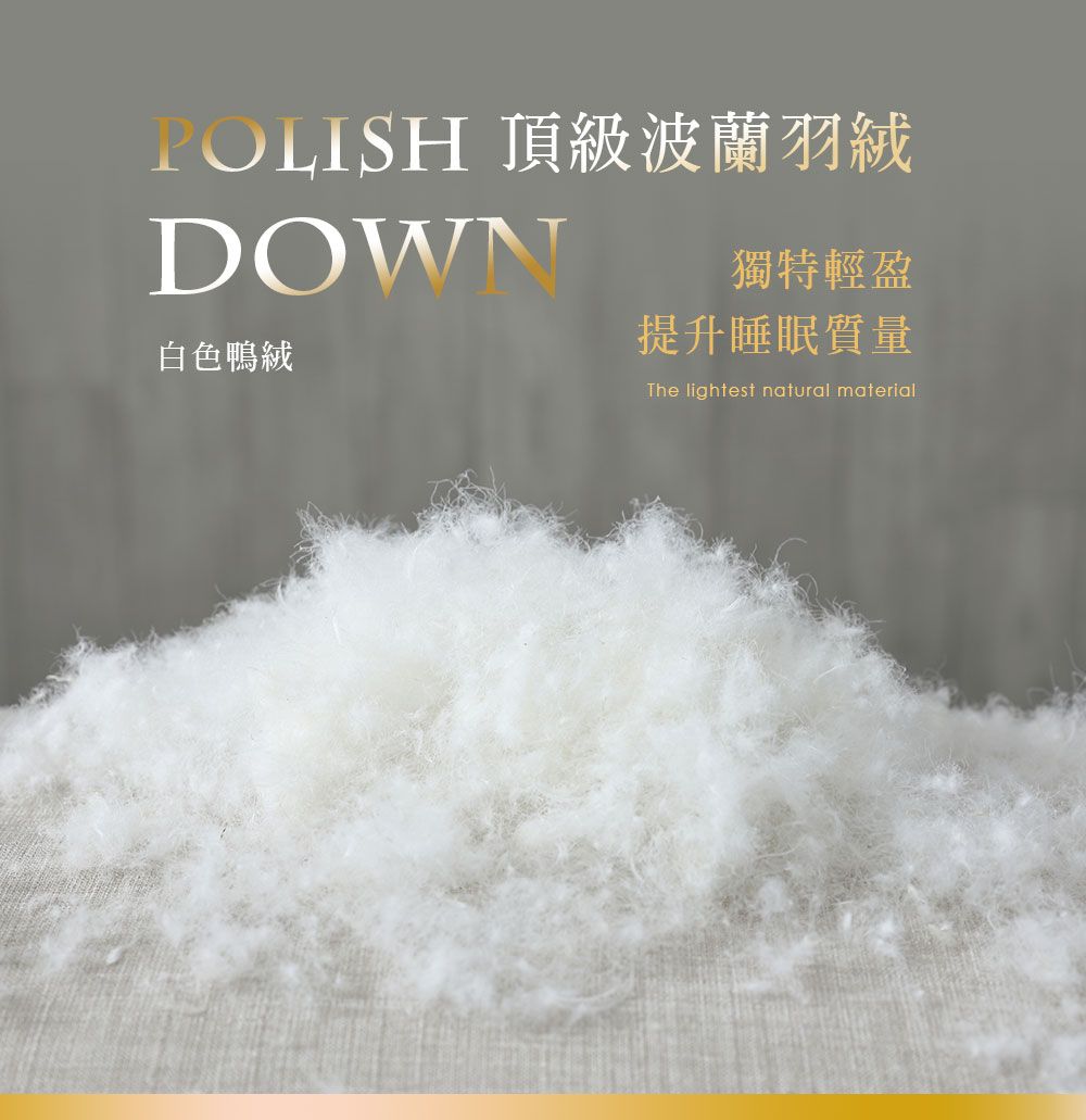 頂級波蘭羽絨DOWN白色鴨絨獨特輕盈提升睡眠質量The lightest natural material