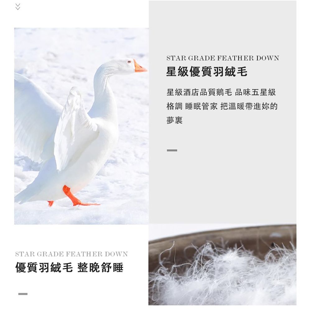 STAR GRADE FEATHER DOWN星級優質星級酒店品質鵝毛 品味五星級格調 眠管家 把溫暖帶進妳的夢裏STAR GRADE FEATHER DOWN優質羽絨毛 舒睡