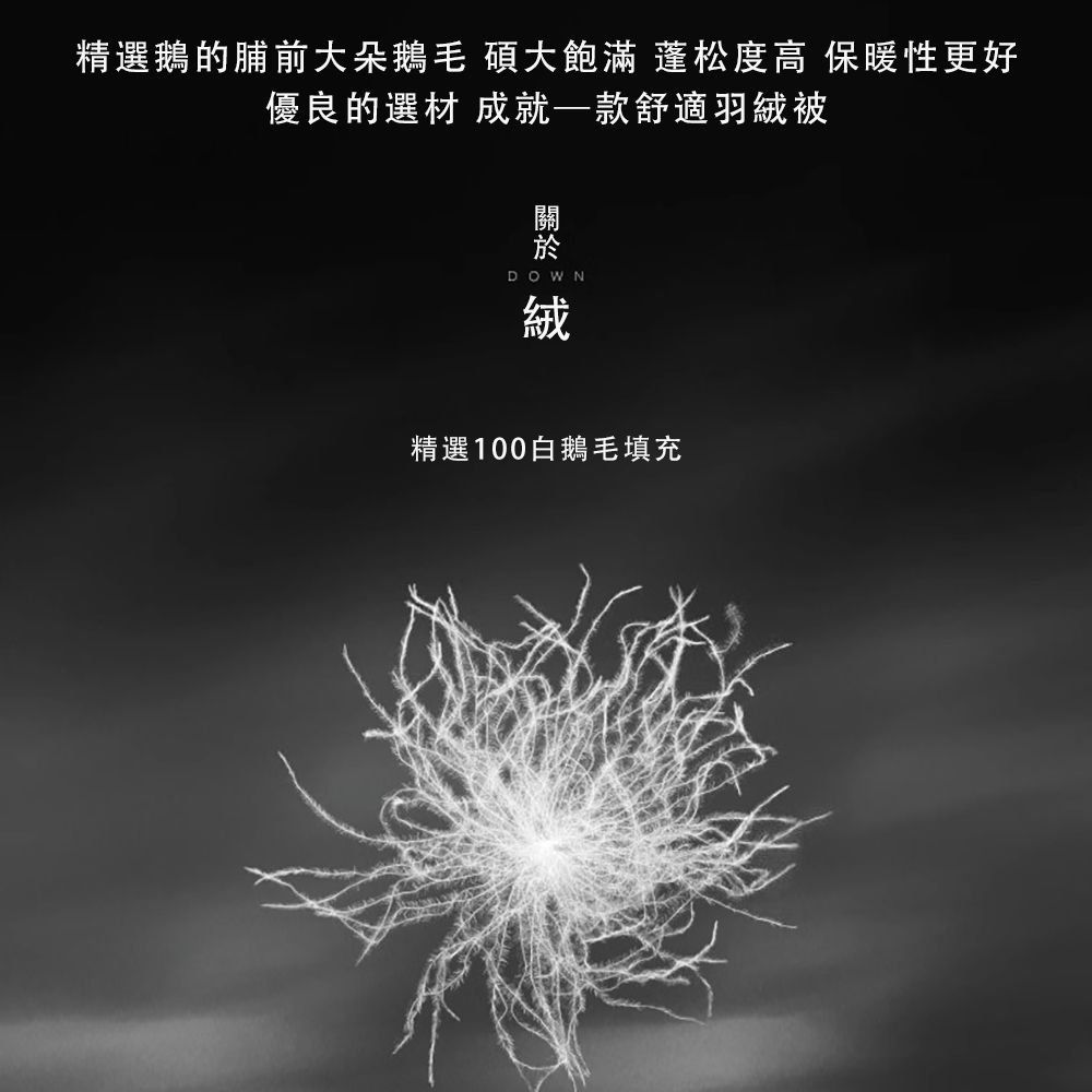 精選鵝的脯前大朵鵝毛 碩大飽滿 蓬松度高 保暖性更好優良的選材 成就舒適羽絨被關DOWN絨精選100白鵝毛填充