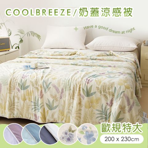 BELLE VIE 歐規特大 CoolBreeze 奶蓋綿綿涼感被 (200X230cm) Q-Max 涼感紗 薄被 夏被 涼被