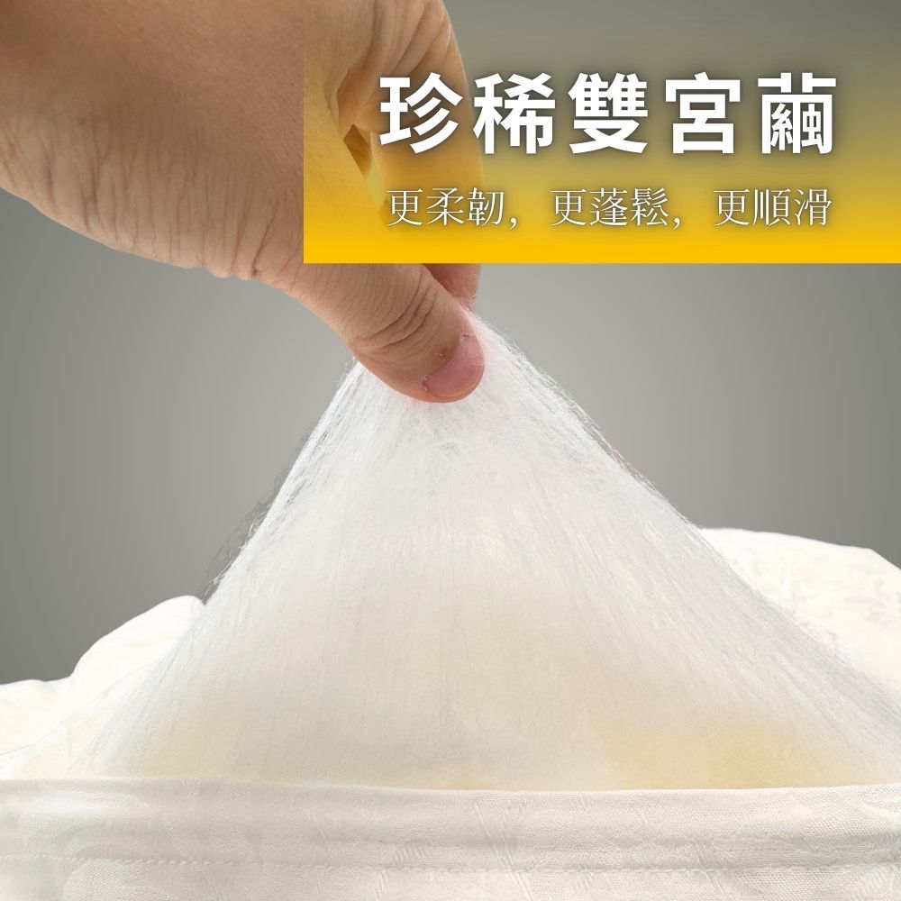 Mexsmon 美思夢 殿堂級 2.5kg純手工長纖雙宮繭蠶絲被 100%桑蠶絲 100支頂級天絲被套 6X7尺雙人