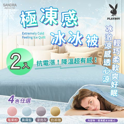 【Sandra仙朵拉】 PLAYBOY 極凍感冰冰被x2入(150x200cm/涼被/涼感被/薄被/四季被 )