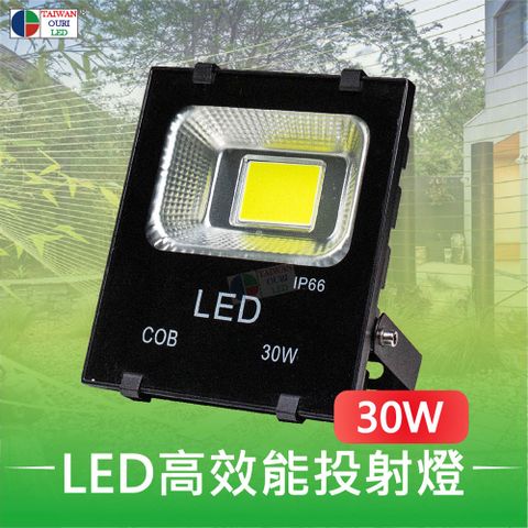 【台灣歐日光電】LED 30W高效能投射燈