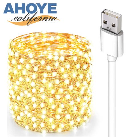 【Ahoye】防水LED裸燈珠燈串 暖光10米100燈 (USB供電) 戶外燈條 燈飾