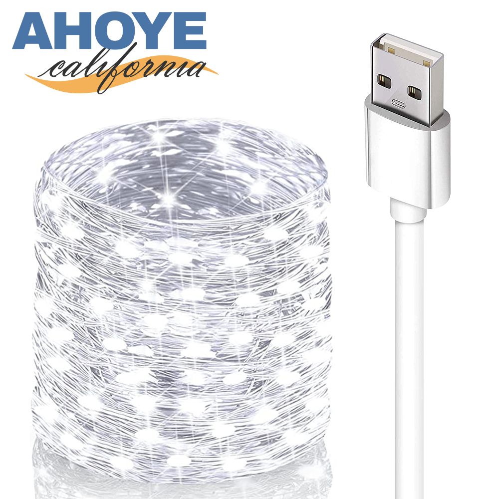 AHOYE 防水LED裸燈珠燈串 白光10米100燈 (USB供電) 戶外燈條 燈飾