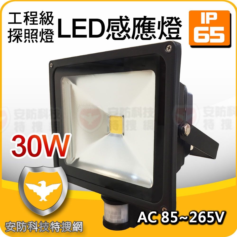  【工程級】30W 白光 LED 投射燈 感應燈 補光燈 照明燈 防水 露營燈 探照燈 投射燈 戶外 防水 白光 夜燈 補光燈 人體感應燈 庭園燈 室外燈 樓梯燈 監控 另 10W 20W 50W 批發價