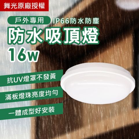 DanceLight 舞光 16W LED 防水吸頂燈 IP66 一體成形 抗UV材質 戶外專用