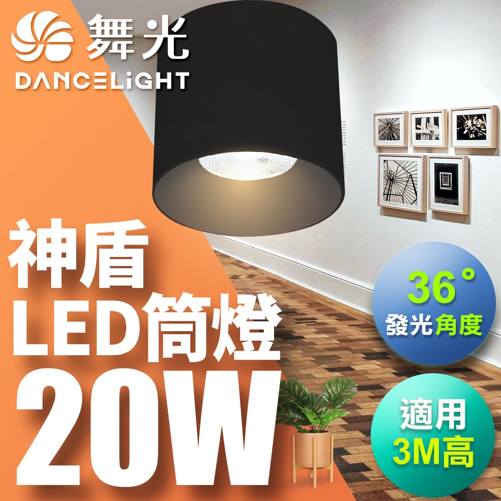 DanceLight 舞光 20W 神盾筒燈 光束角36度 壓鑄鋁散熱快 全電壓 一體成形 白殼 黑殼(白光/自然光/黃光)