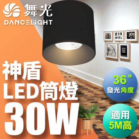 DanceLight 舞光 30W 神盾筒燈 光束角36度 壓鑄鋁散熱快 全電壓 一體成形 (白殼/黑殼)