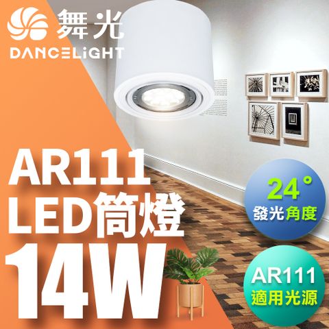 DanceLight 舞光 AR111 替換式筒燈 含14W光源 發光角度24度 一體成形 白殼(白光/自然光/黃光)-3入組