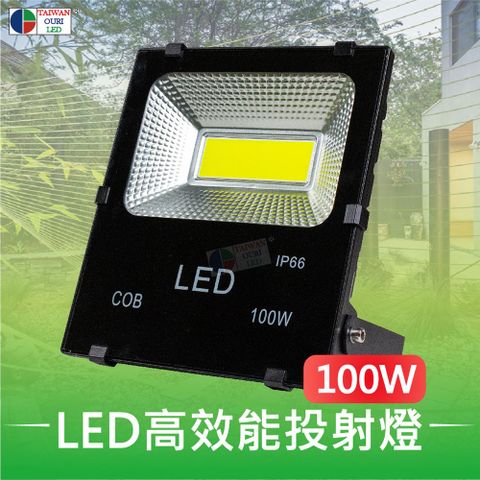 【台灣歐日光電】LED 100W高效能投射燈