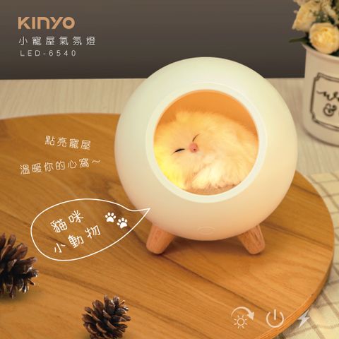 KINYO 小寵屋氣氛燈 LED-6540