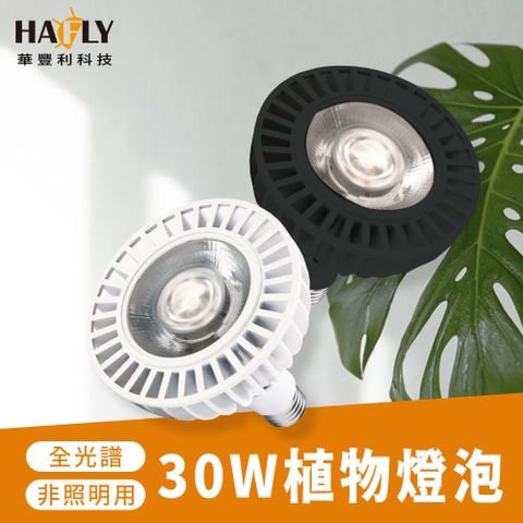 HAFLY 全光譜PAR38 30W植物燈泡 多肉植物 室內植物 室內溫室 植物照明 植物燈 燈泡