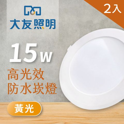 innotek 大友照明 LED防水崁燈 15W - 黃光 - 2入(LED崁燈)