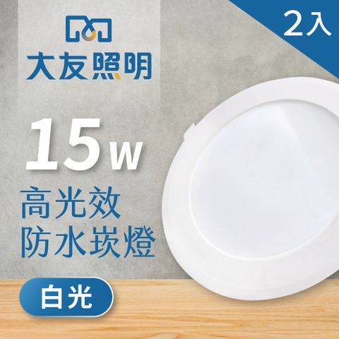 【大友照明】LED防水崁燈 15W - 白光 - 2入(LED崁燈)