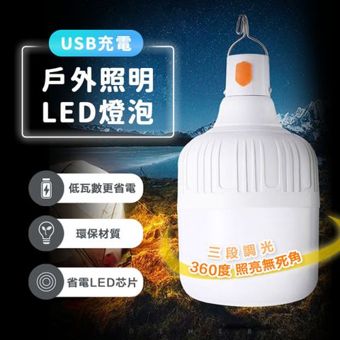 快速到貨USB充電戶外照明LED燈泡(2入組)