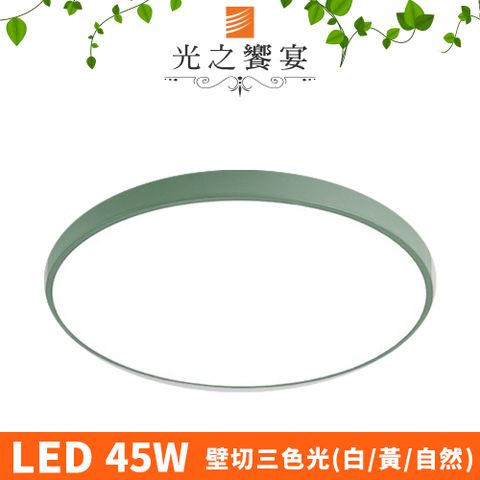 Protocol Lighting 光之饗宴 馬卡龍 39號 LED 45W / 綠 (三色光)吸頂燈