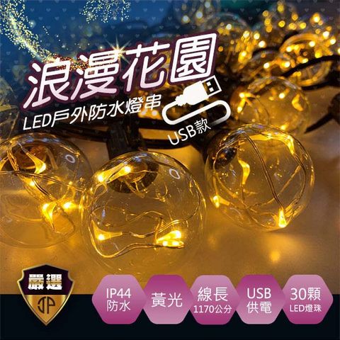 捷仕特 【JP嚴選-】買一送一新款USB浪漫花園LED戶外防水燈串( 送50cm隨手貼)