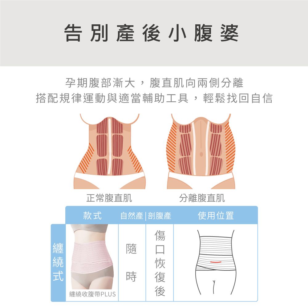 告別產小腹婆孕期腹部漸大,腹直肌向兩側分離搭配規律運動與適當輔助工具,輕鬆找回自信正常腹直肌分離腹直肌款 自然產|剖腹產使用位置隨收腹帶PLUS後纏繞式