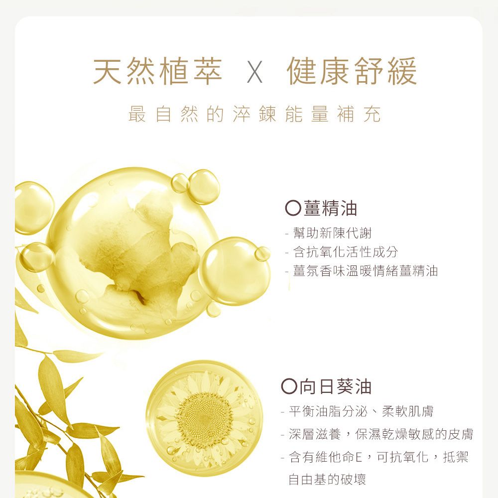 天然  健康舒緩最自然的淬鍊能量補充薑精油幫助新陳代謝抗氧化活性成分薑氛香味溫暖情緒薑精油○向日葵油 平衡油脂分泌、柔軟肌膚- 深層滋養,保濕乾燥敏感的皮膚- 含有維他命E,可抗氧化,抵禦自由基的破壞