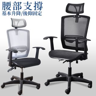 凱堡 Auster高透氣全網T扶電腦椅 椅子 辦公椅