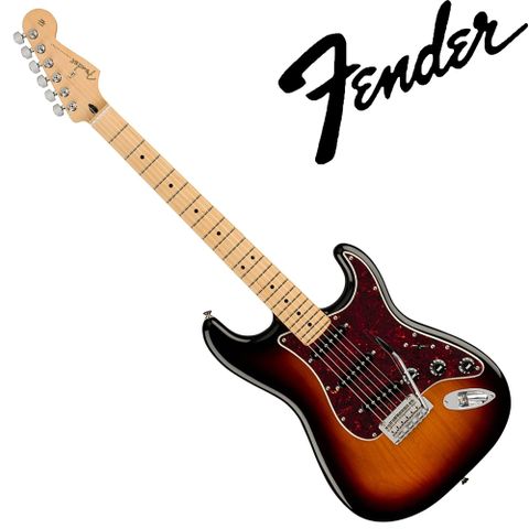 Fender Player 系列琴款電吉他 Stratocaster Maple / 公司貨保固