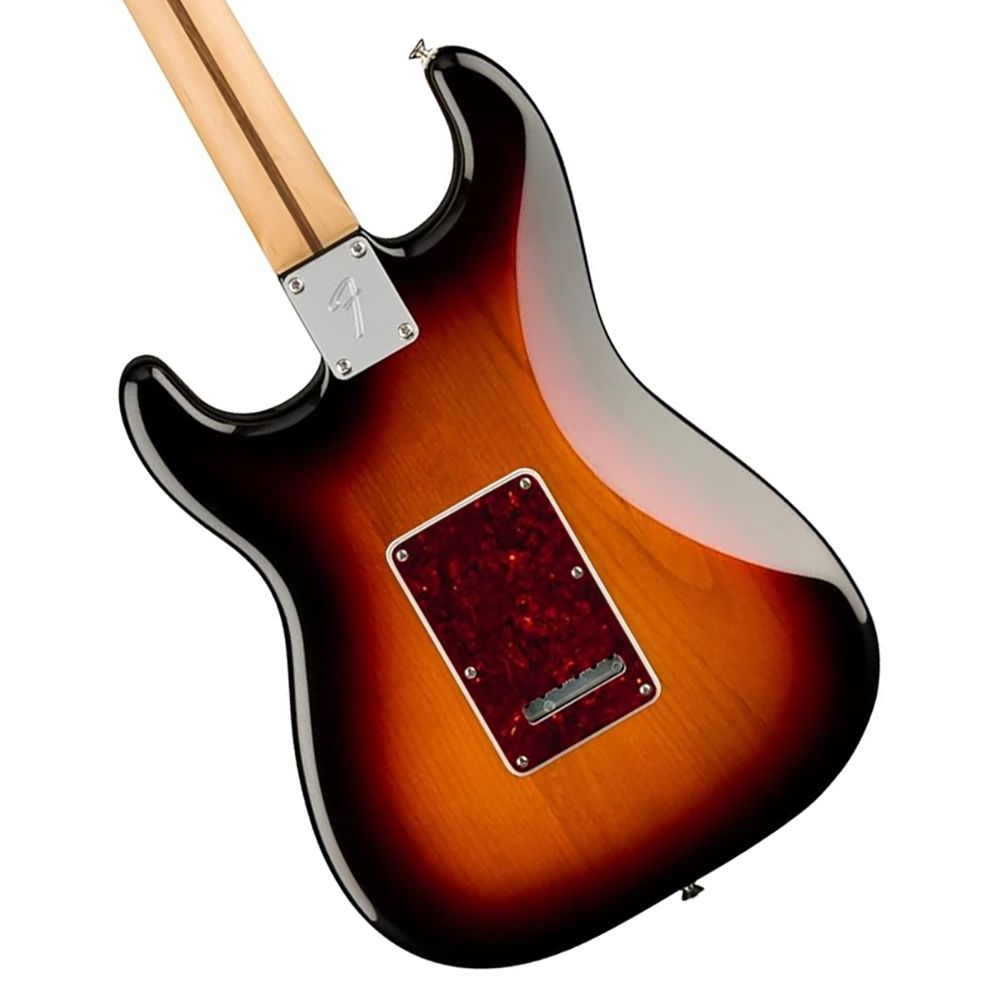 Fender Player 系列琴款電吉他 Stratocaster Maple / 公司貨保固