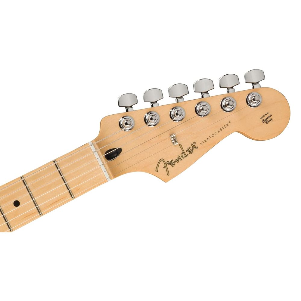 Fender Player 系列琴款電吉他 Stratocaster Maple / 公司貨保固