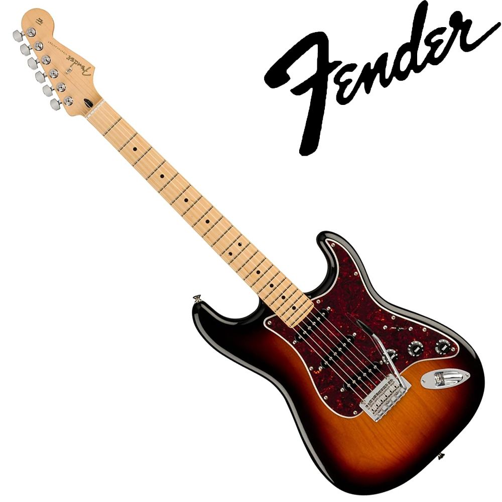 Fender Player 系列琴款電吉他 Stratocaster Maple / 公司貨保固