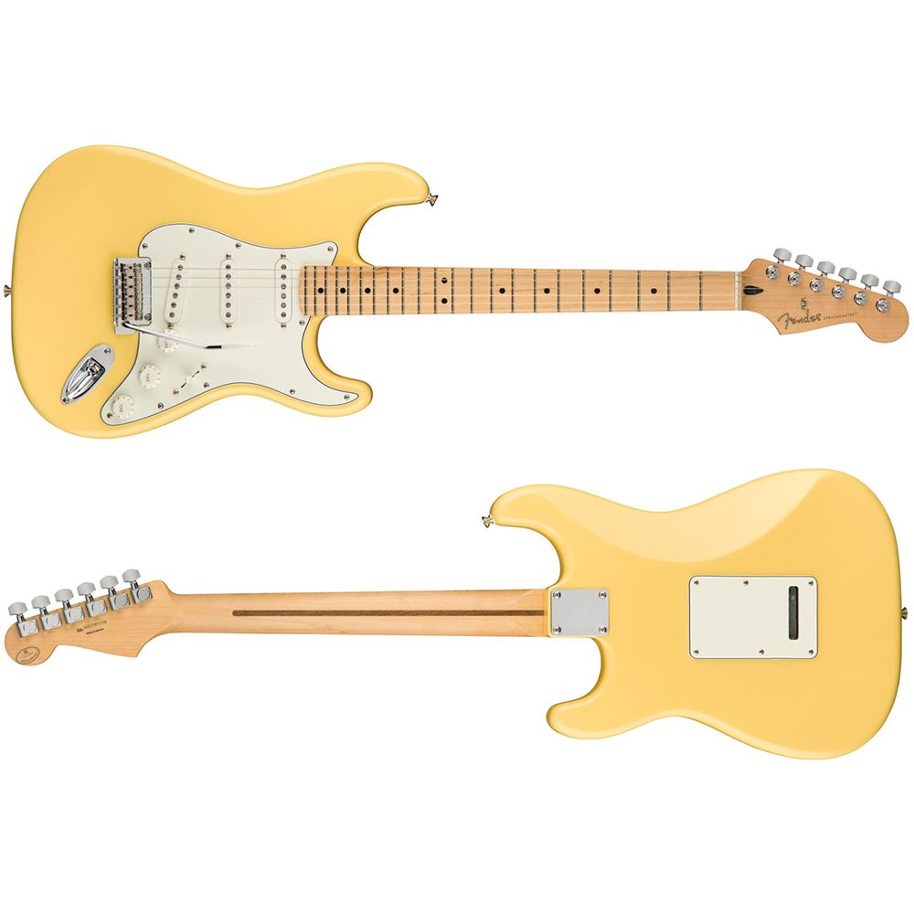 Fender Player 系列琴款電吉他 Stratocaster Maple / 公司貨保固