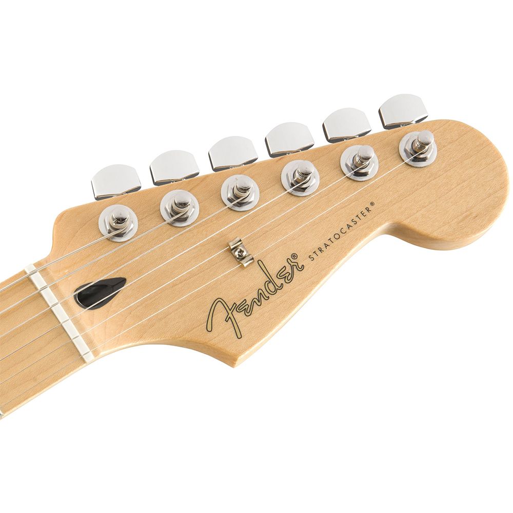 Fender Player 系列琴款電吉他 Stratocaster Maple / 公司貨保固