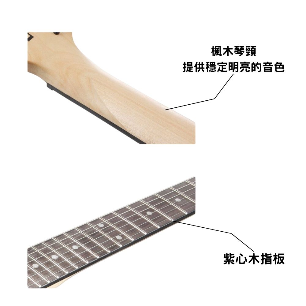 楓木琴頸提供穩定明亮的音色紫心木指板