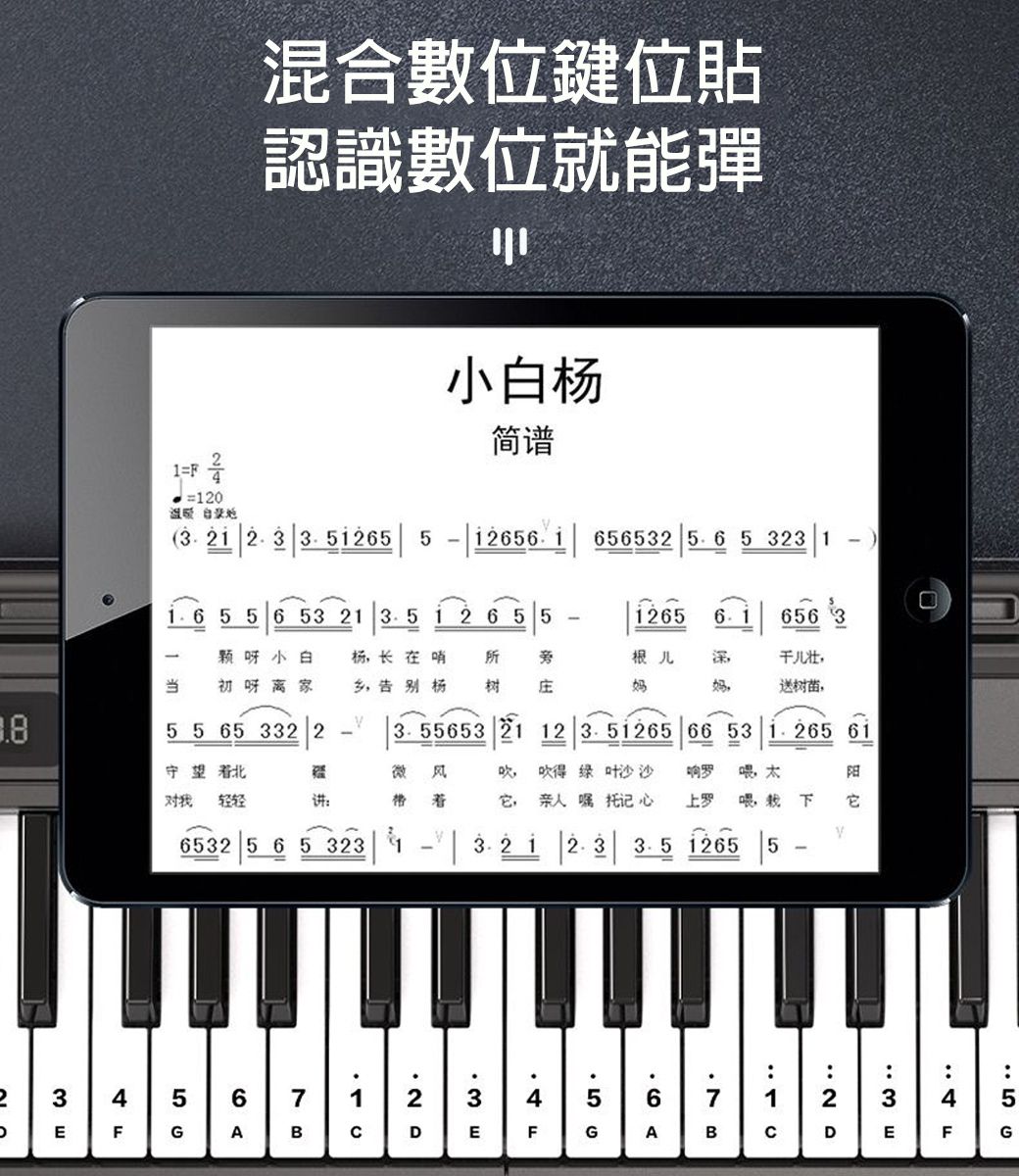 混合數位鍵位貼認識數位就能彈小白简谱  55 5 -6561 65653  5 323 11=120温暖  5 5 6 53 21  12 6 5 512656656 3颗呀小白当 初呀离家杨长在哨  乡告别杨 树 庄根儿妈干儿壮送树苗5 5 65 332 2 5565312 3. 51265 66 53  61守微风对轻轻讲 ,绿叶沙沙 亲人嘱托记心响罗喂 喂我它6532 5 6 5 323 1   1265 52, 3 A1  2.D 66GAB2 1 D3 E: FG
