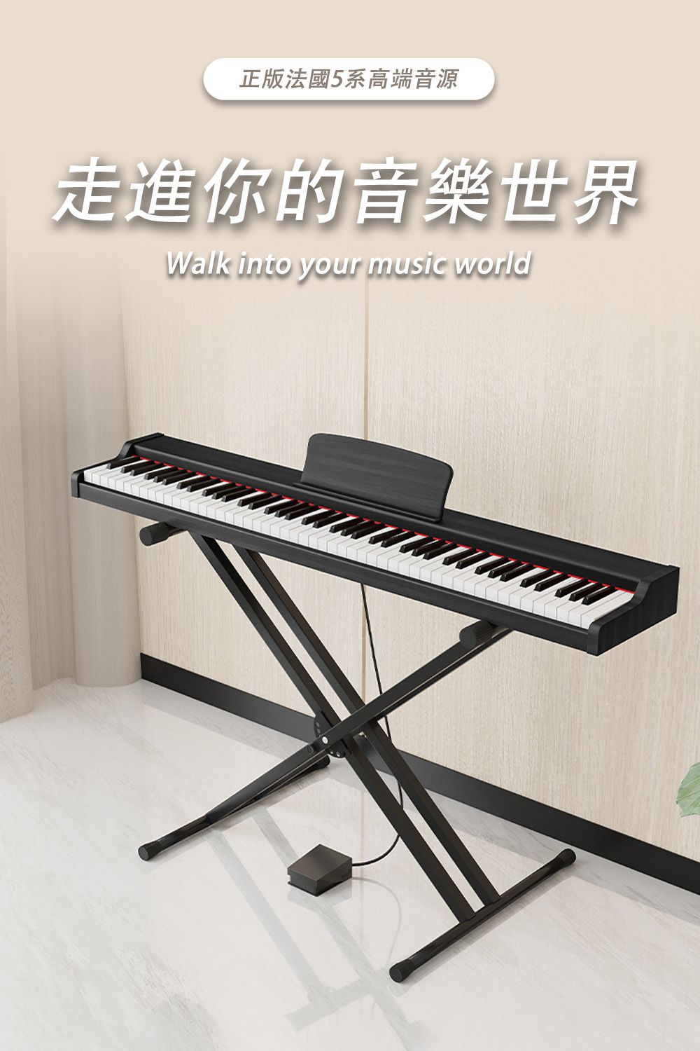 正版法國5系高端音源走進你的音樂世界Walk into your music world