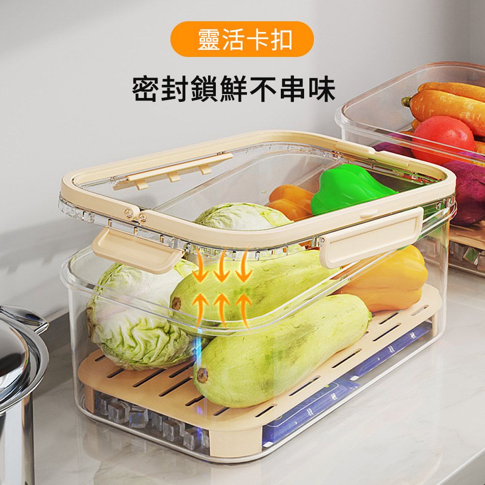 SUNLY  戶外手提便當盒 零食水果收納盒 冰箱食物保鮮盒 野餐盒 儲冰盒 2800ML