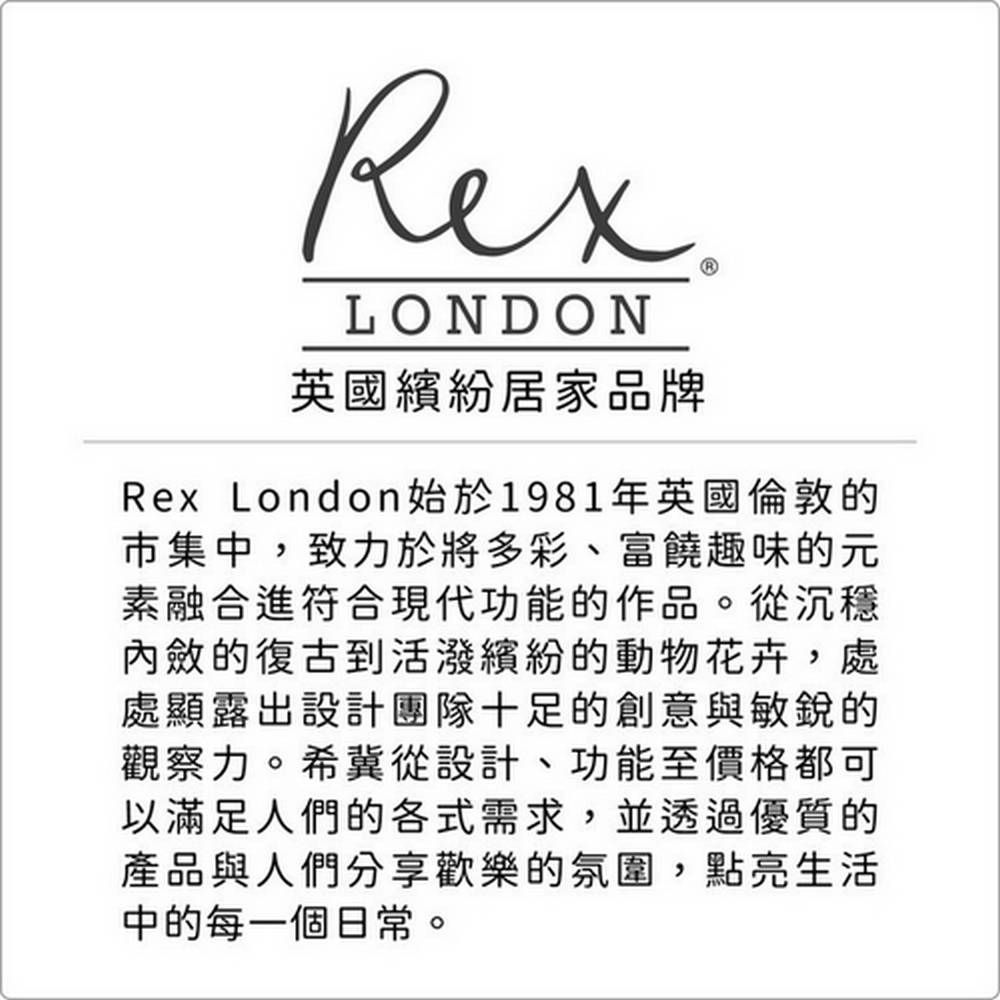 Rex LONDON 瓷製餐碗(射線藍12cm) | 飯碗 湯碗